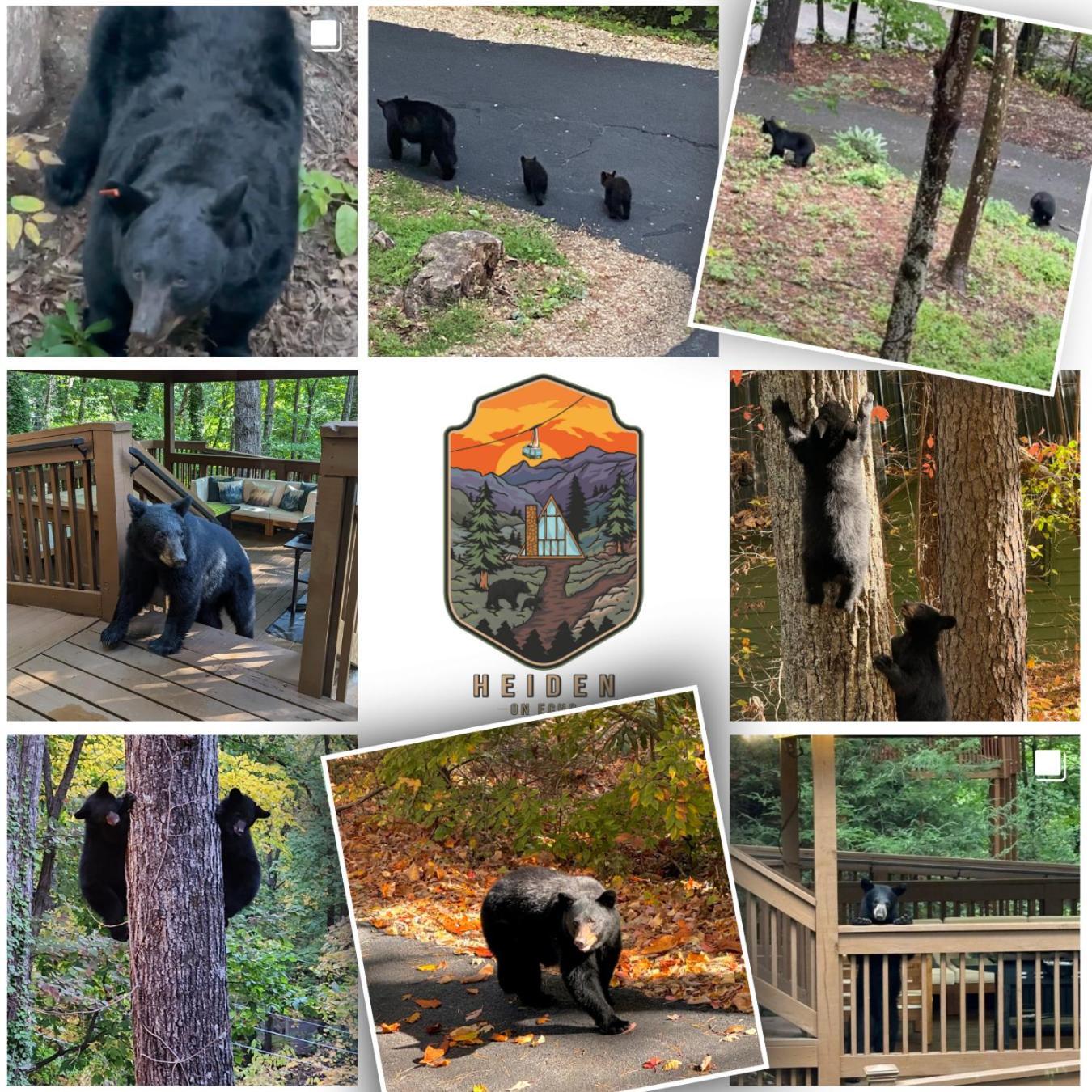 1Mile Downtown, Handicap Ramp, Hot Tub, Game Room Gatlinburg Kültér fotó